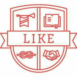 Концентрат 4 Чат КЗН