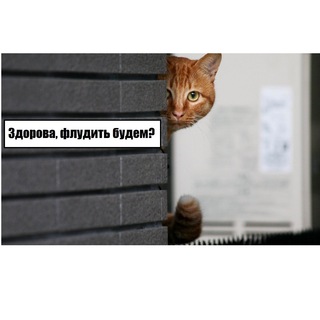 Десна. ДружныеСоседи 