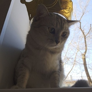 ♡—группа вз голосов —♡