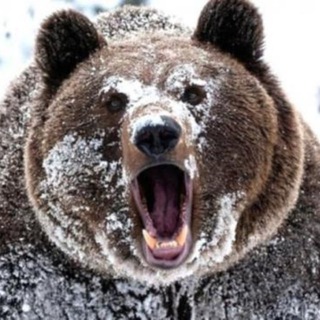 Самостоятельное изучение документов