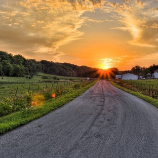 🚦ДОРОГА🚦ПО ПУТИ