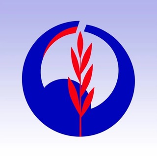 Дорога Жизни || 55-й международный марафон им. Г.И Колгашкина