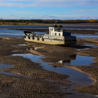 Друзь и гении в режиме тишины