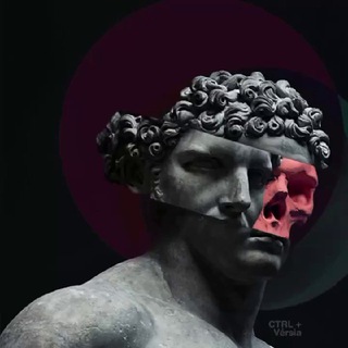 Черный лебедь Chat