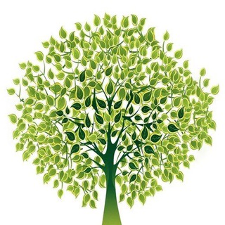 Энзимы - Екатеринбург УРФО