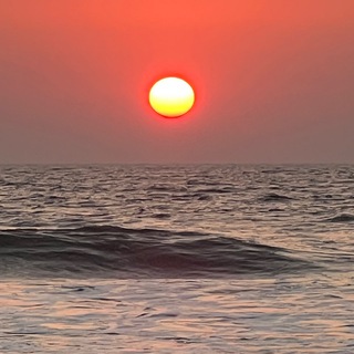 Гоа🎋 обмен денег 💵 аренда 🏠 услуги 🇮🇳