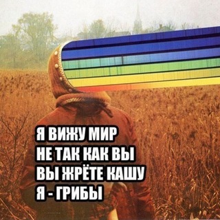 Пятиминуточка