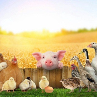 Хабаровским фермерам