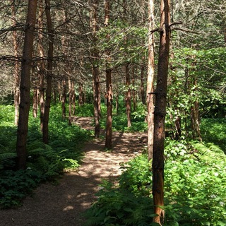 Филёвский парк 🌲🌳