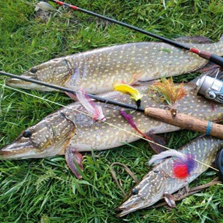 Рыбалка Усть-Илимск