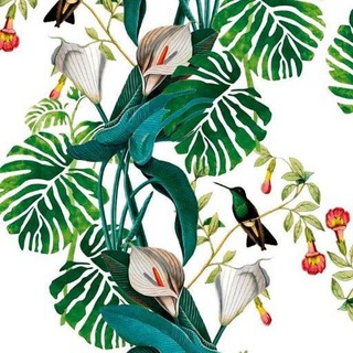 🌿🌸 Цветочный мир 🌸🌿