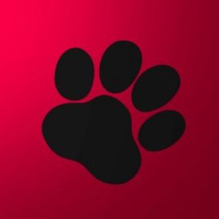 ANGRY_BUNNY(TW:YOUR_BUNNY_ROTE👹