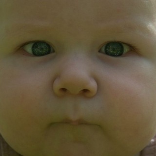 Фото бесплатно Псков