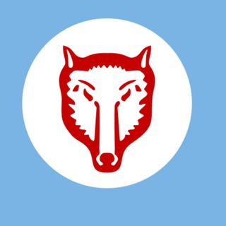 Первый Гагаузский - чат