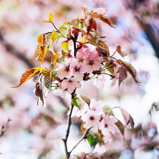 Красивый контент