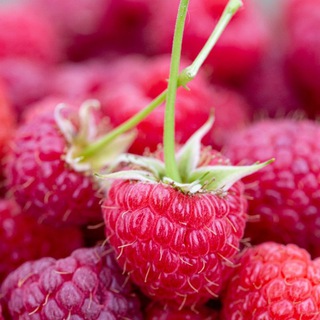 ГИФ❤️КАРТИНКИ ❤️ВИДЕО ❤️