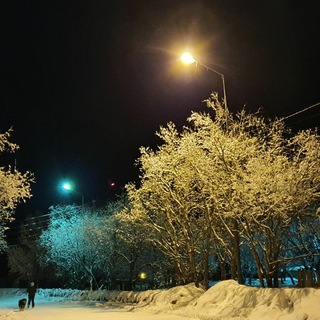 ПАЛАНА - ОБРАТНАЯ СВЯЗЬ Telegram