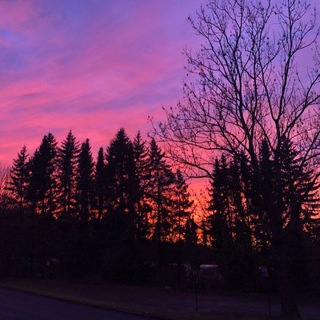 🌿 ЭКОМАГАЗИН ЗДОРОВЬЯ