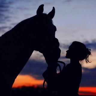 Ranch My Horse Chat 💬