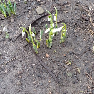 Попасная,жить по новому.