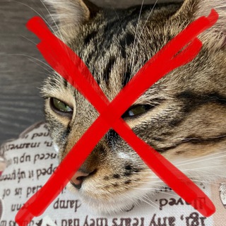 Сука мы против мортимера