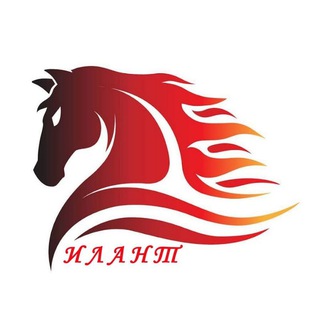 ЗАПЧАСТИ ДЛЯ СПЕЦТЕХНИКИ ‼️ГАРАНТИЯ И КАЧЕСТВО‼️