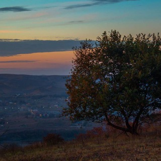 Медиа Ингушетии