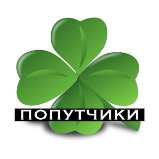 Ирландия (попутчики) 🐈☘️🐕‍🦺