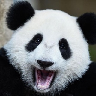 IT163 (Самара+Тольятти)