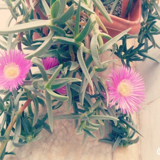 آپارتمان میلاد...ترمینال