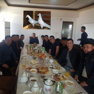 🕊🕊🕊Кунград Голубятник🕊🕊🕊2021