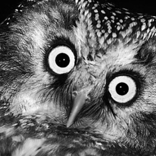 @Klementeva_logo чат