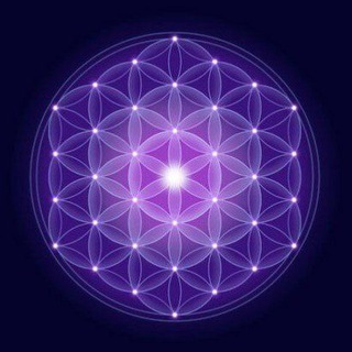 Случайный алхимик 🧙‍♂️