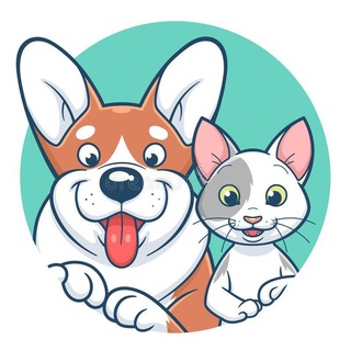 ДОМАШНИЕ ПИТОМЦЫ - ЖИВОТНЫЕ | Альметьевск | ФОРУМ | видео