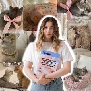 английский и котики для студентов