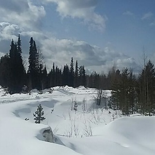 ЛДПР Республика Коми