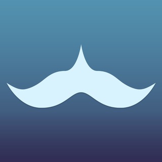 Чат Котатограма