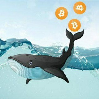 Крипто киты 🐳