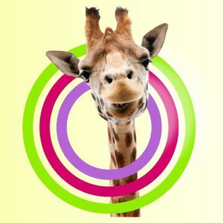 Бухгалтерия. 1С. Вопросы и ответы.