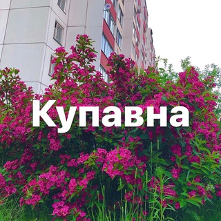 Новости Купавны.