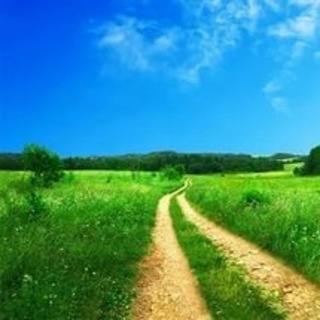 КУЮКИ ДОРОГИ