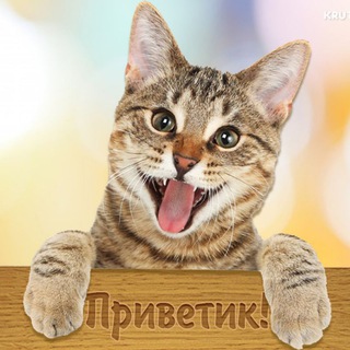 Лавка продаж РОСТОВ и РО