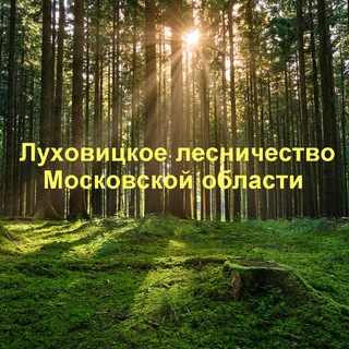 Луховицкое лесничество