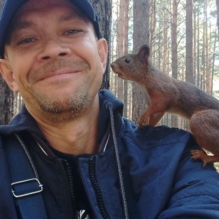 Лесные тропы 🐾 Природа Сибири https://t.me/addstickers/lestaiga🦔