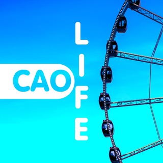 LIFE | ЧАТ | Жизнь в САО