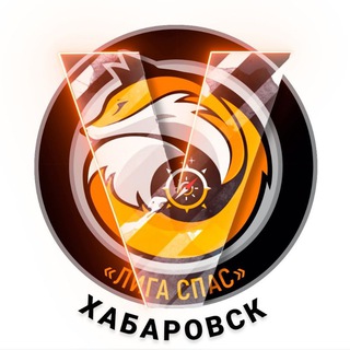 Лига Спас. Помощь нашим.