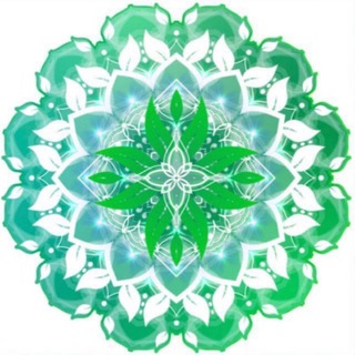 СИЯЮЩИЙ ДЕТОКС ЖИВОЕ ПИТАНИЕ