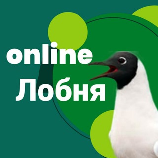 Лобня Онлайн