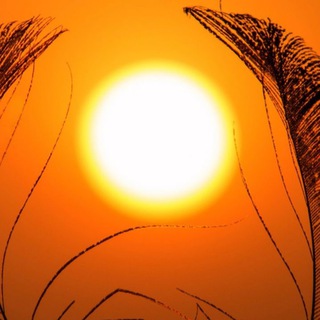 «МАСТЕР РОСТА»