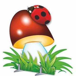 Детский сад № 31